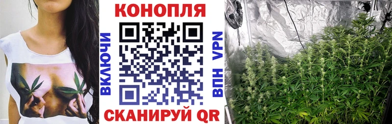Магазины продажи наркотиков Ленинск-Кузнецкий ГАШИШ  A PVP  МЕФ  Cocaine 