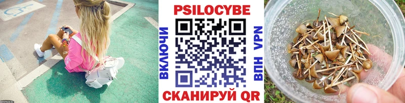 darknet наркотические препараты что такое наркотик Ленинск-Кузнецкий Галлюциногенные грибы прущие грибы мега ссылки